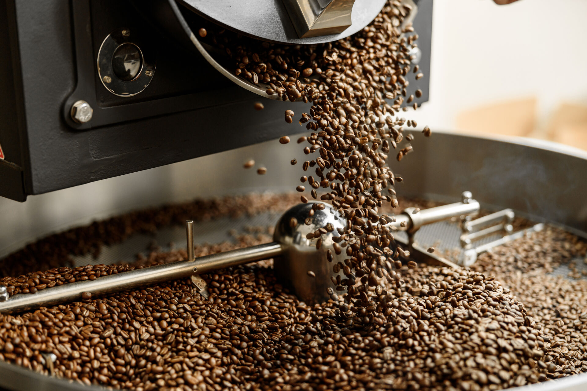 coffee roasting frisco