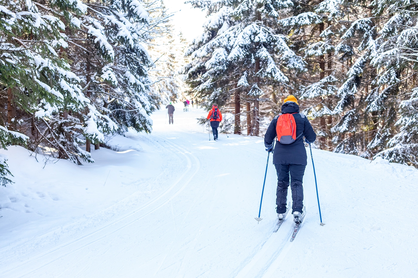Enjoy a day cross country skiing