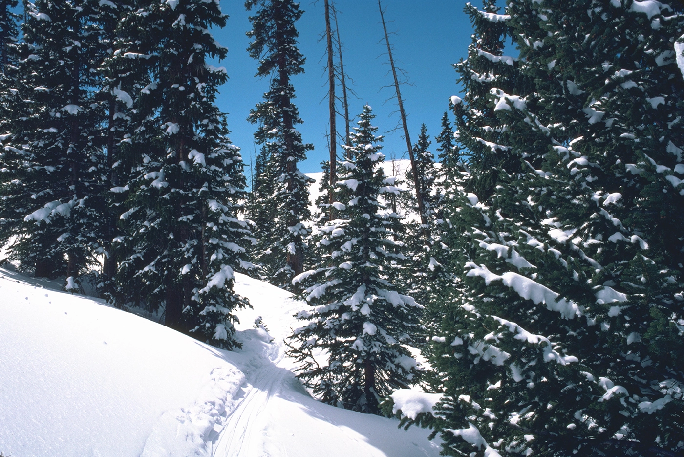 Snowy back country day at Copper Mountain - Live updates
