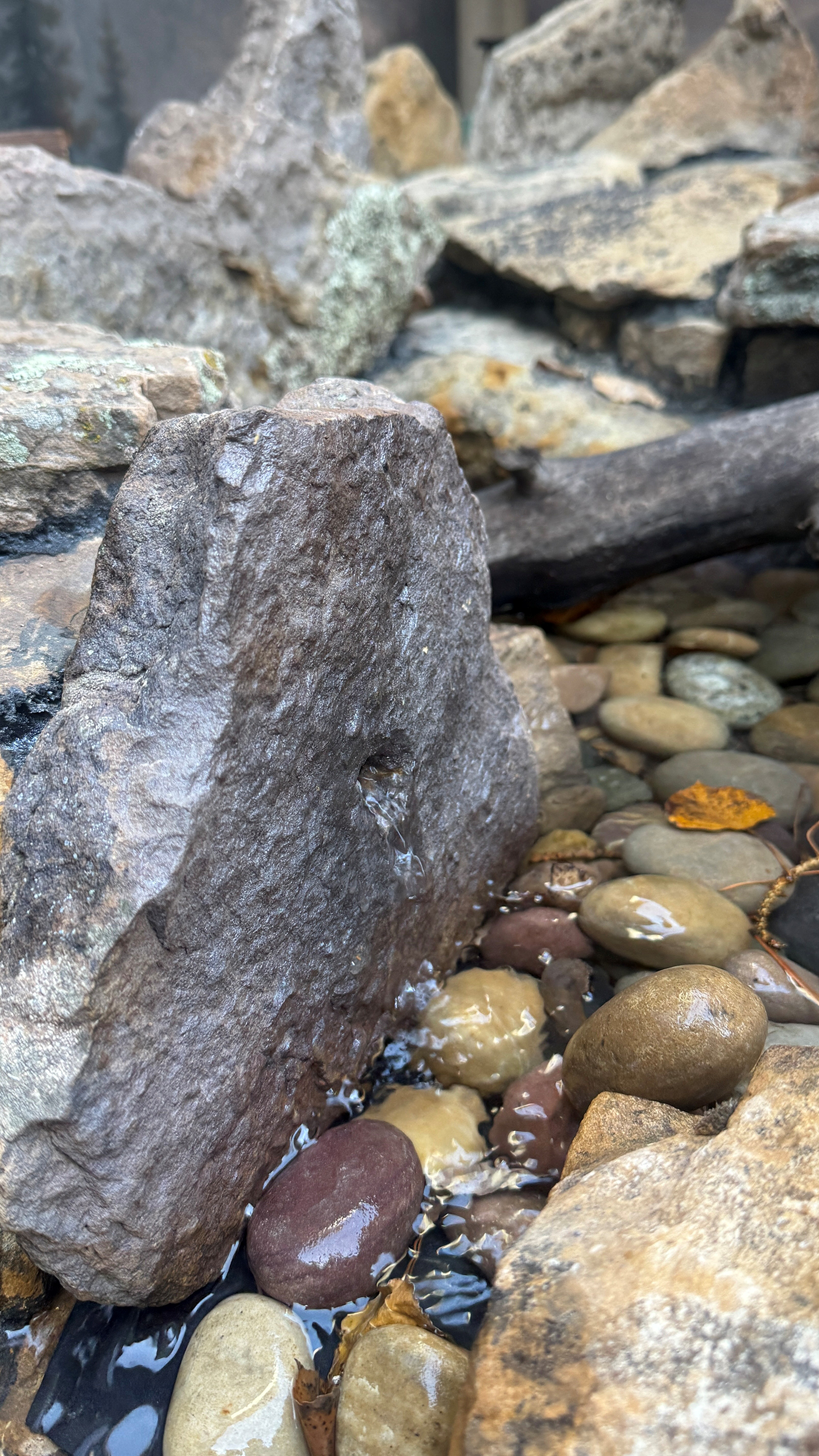 Headwaters spring in the rock