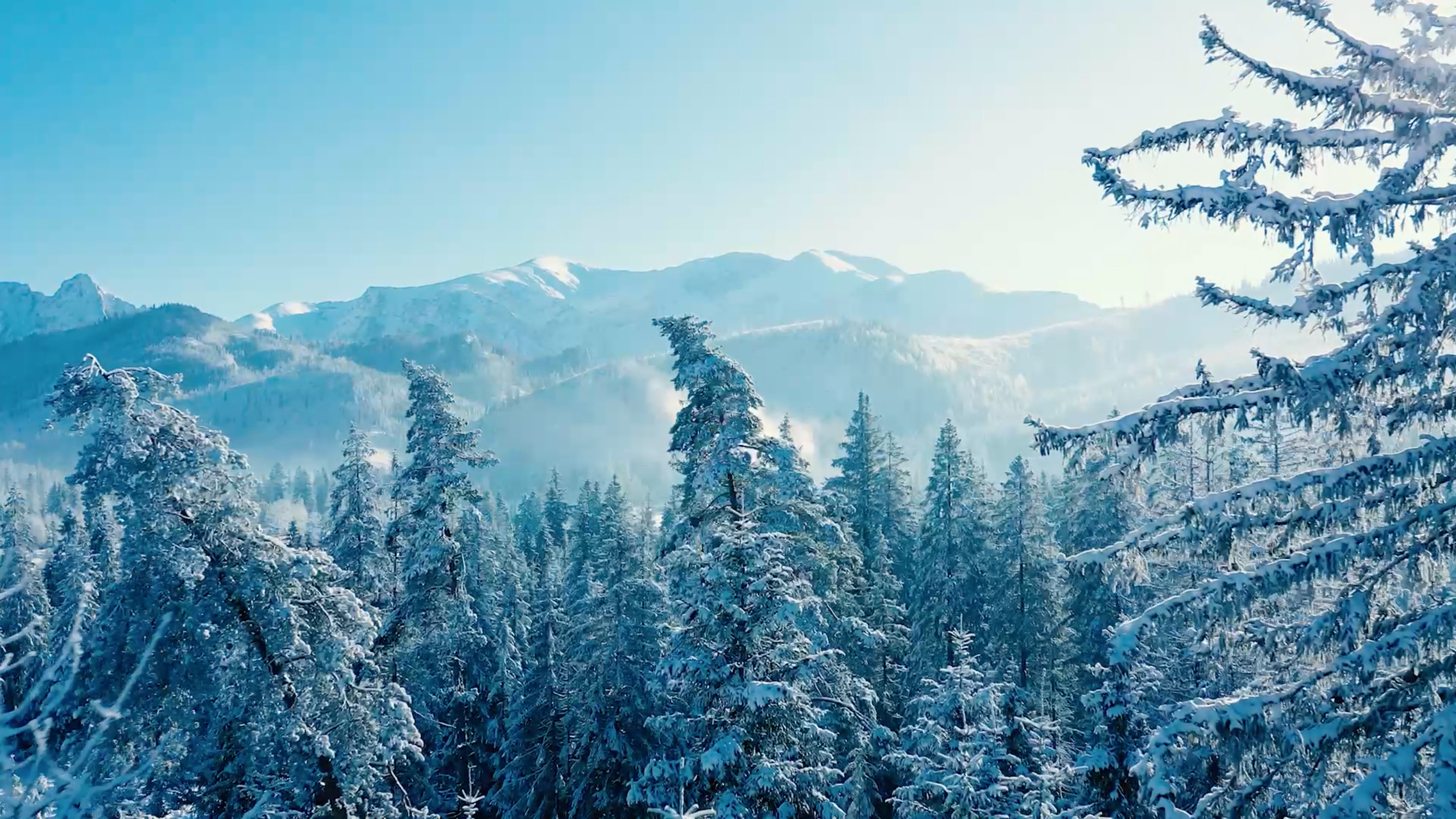 frisco inn on galena boutique lodge