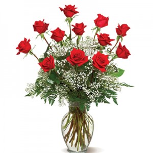 One Dozen Roses