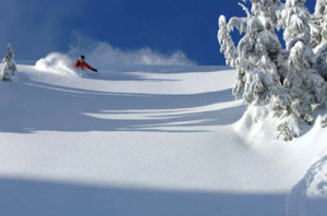 powder_skiing